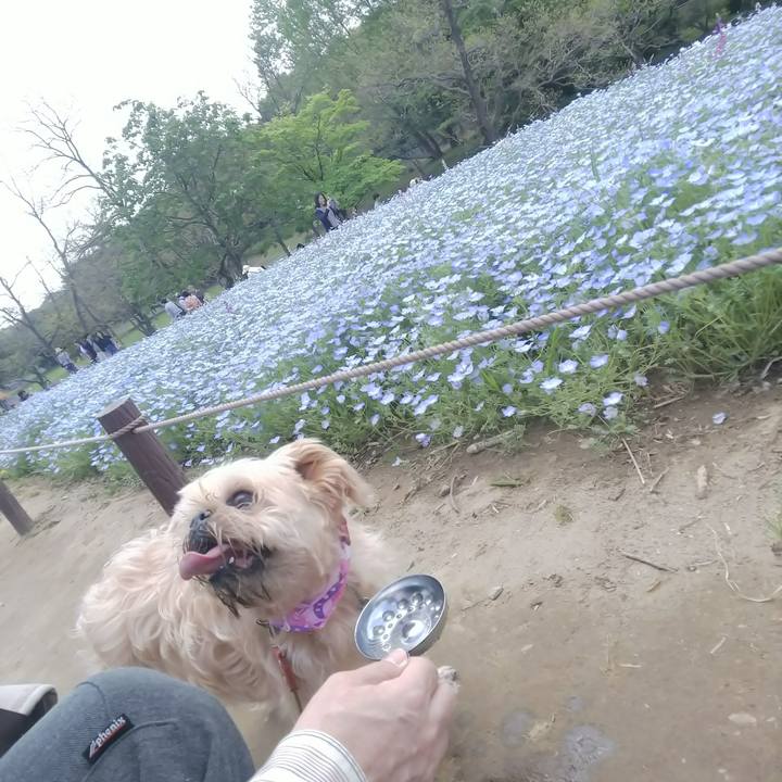 9f5d8701 f8fa 4198 a33e 8a0b40695b66 1556942870663