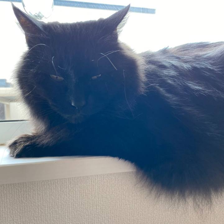 9f5dc6b2 fe5d 4592 9265 e10e6b1c1c8f 1589161165803