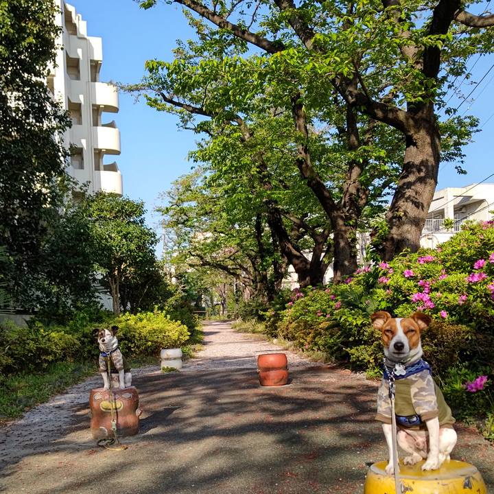 9f5df1b2 3b47 41e9 bec7 fbba45603110 1618093049849