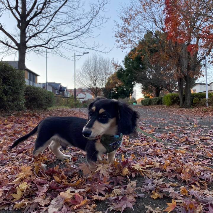 9f5e28a2 4ac4 4b2b a23f 0d7a5e95ce98 1670453381529