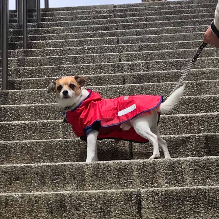 9f5e388b 40e7 4932 bca8 47e93a5f83aa 1553153618915