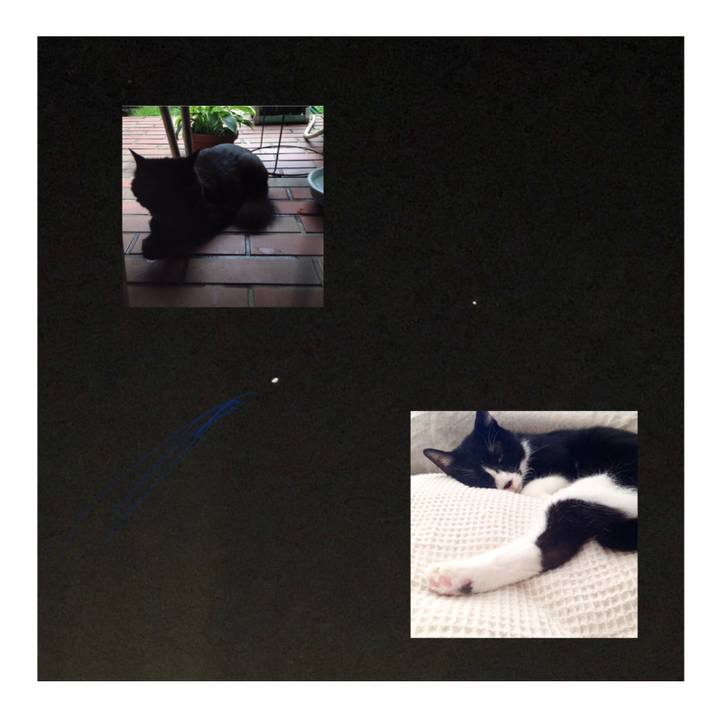 9f5e7e54 d290 48bb ac14 21a441d5774c 1606018878011