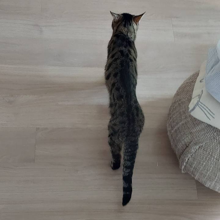 9f5e7fef 418e 4c58 bb2b dc78f37cfd05 1664579879326