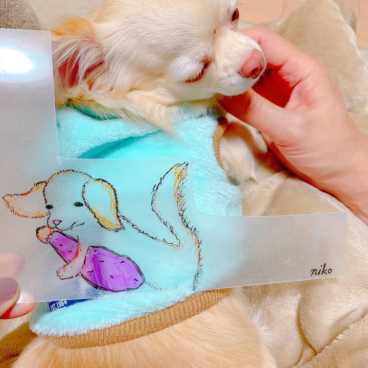 9f5e9266 82b8 4c9a 8537 459bf47f1499 1636288204927