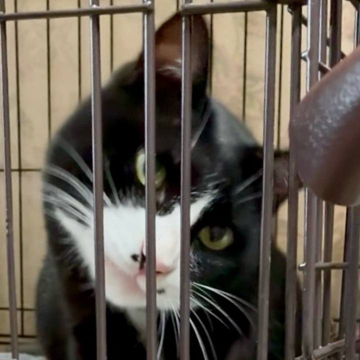 9f5e9ce0 c8c9 4451 9cf7 20cecc995cfe 1752149880210