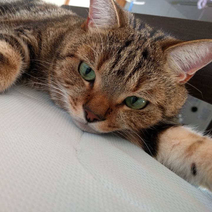 9f5eed3d 7206 4aa4 97b1 062068aa79b1 1537598128968