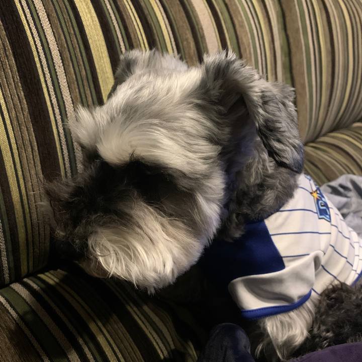 9f5ef48e 964b 432e 9af5 5a339b18c3de 1617525022212