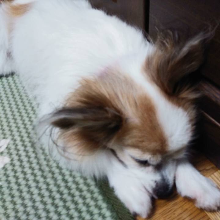 9f5ef8c4 f765 4f36 b82b 0e2c9b864d7a 1535551612588