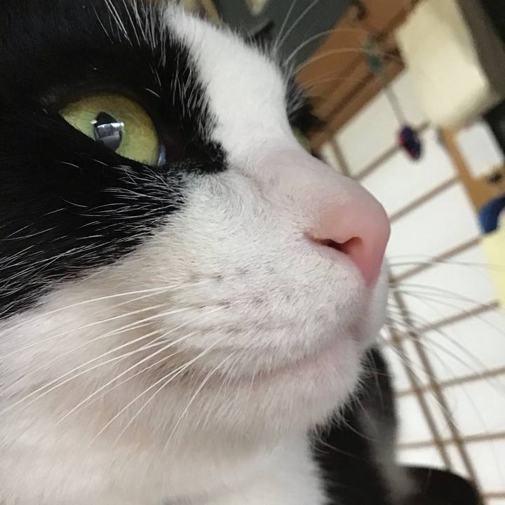 9f5f191e 9df5 4eac 8348 3ae881197785 1708847891803