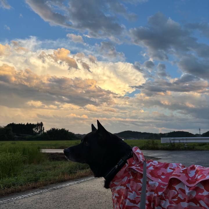 9f5f2272 623b 479a 8cf8 d2a753c4fc9b 1754645499075