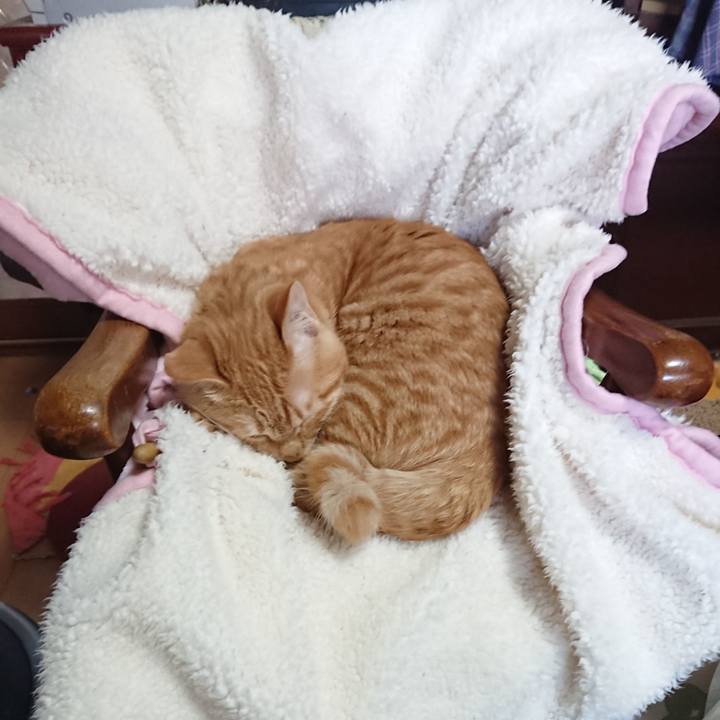 9f5f24e4 7982 4450 9e56 9171b9f5385c 1639973852776