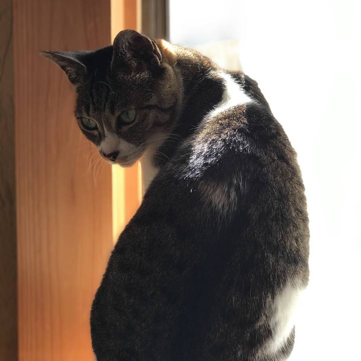 9f5f2c51 b4cb 43b9 bbac c22c45029712 1518917332058