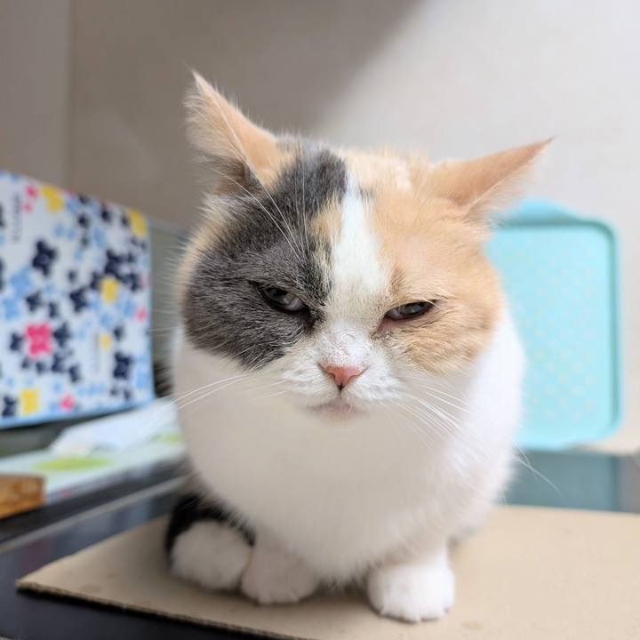 9f5f34fe fde6 4bfd 9c52 a6f8aa5fef8e 1761625589755