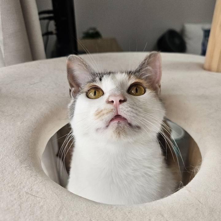 9f5f4baf 883b 4b7b a97f 16d9e2ff739a 1752648048804