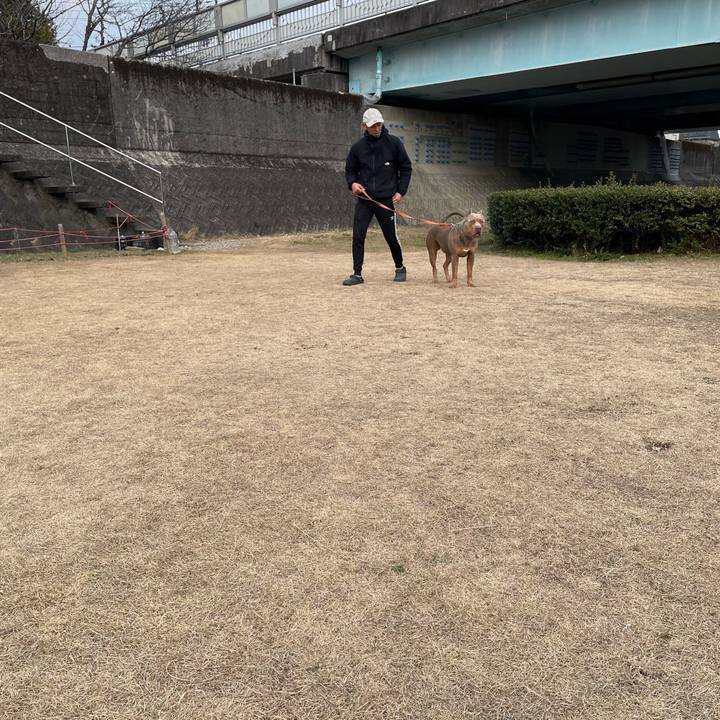 9f5f8c18 ccbc 4fa9 946d 3a3d83aaf3f6 1674210765403