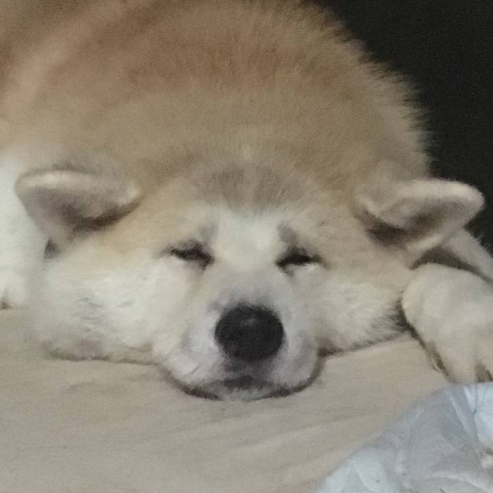 9f5f95b9 e00e 4cf1 ba51 d2e75dcc845e 1536493026718