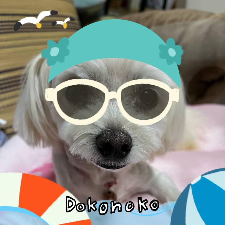 9f5fae67 7f82 41e6 ac27 5acb875c8667 1723206022497