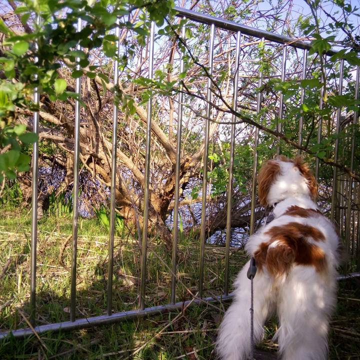 9f5fb036 ffc4 4622 9a01 33f4673a2902 1523148706253