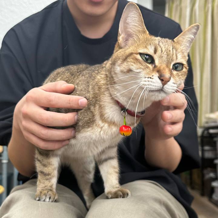 9f5feeba 16f8 468e 9c41 16676f9d0e55 1766635965139