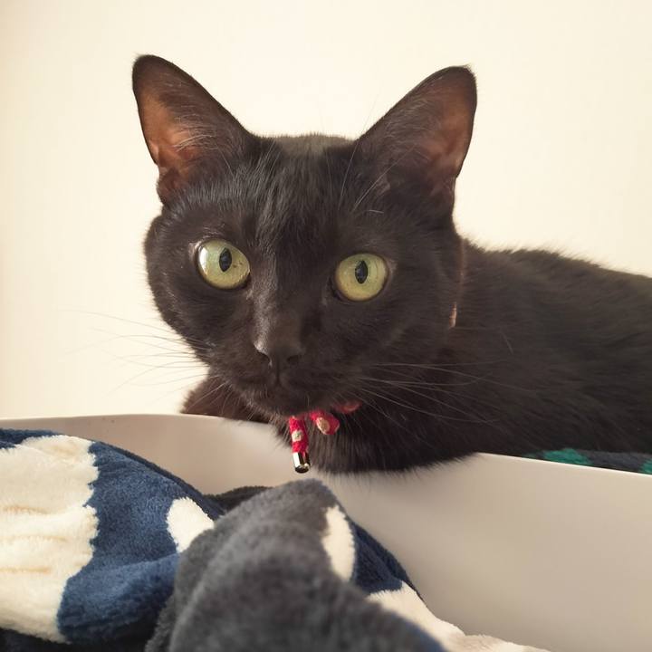 9f603b73 013b 4af4 926d 3809a57160ba 1674258298008