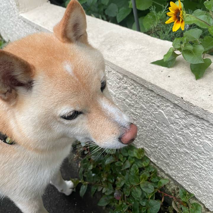 9f604eff 1e89 433c ba53 90a0768db039 1665006250145