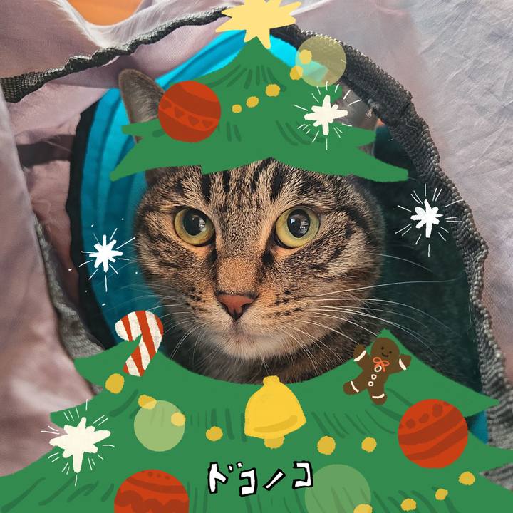 9f609507 a04f 4b8b ae1b a0da273d3c38 1761287152275