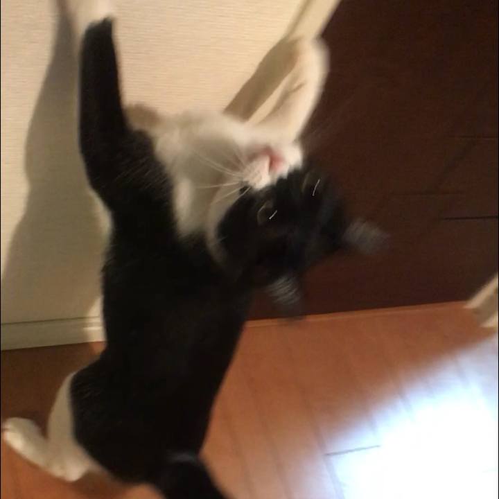 9f611a7d b2bf 4aa8 a6c1 32780ad7875e 1576999461631