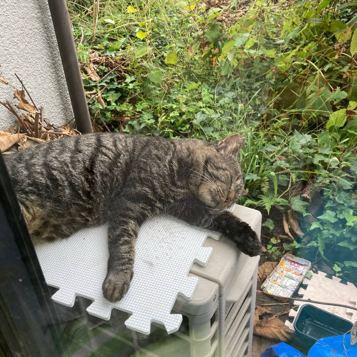 9f611db0 9c27 456e 951a a8c6f661d87c 1634182893035