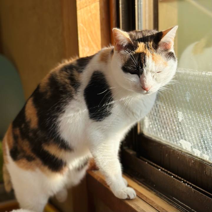 9f614ed6 f222 410b aaa1 204343a3980e 1678413344399