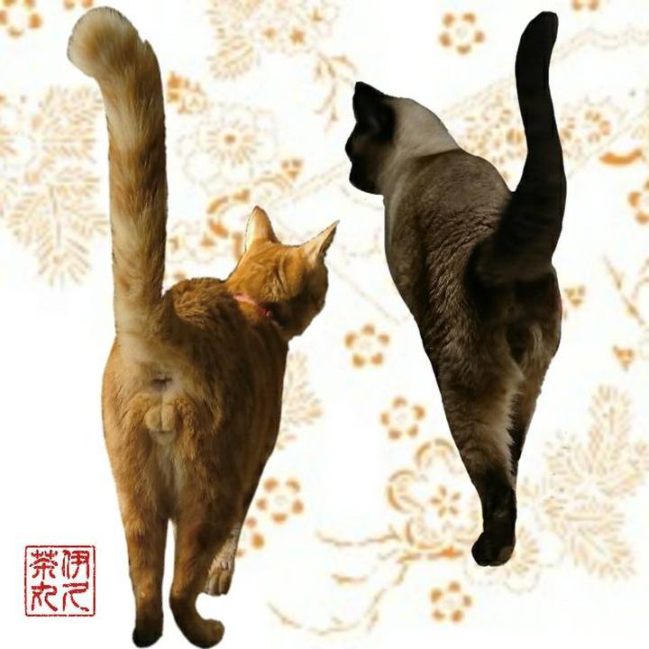 9f615355 92ac 4c9e a866 5a8379c71714 1546345946209