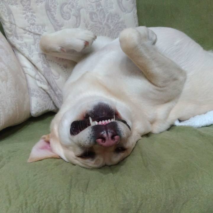 9f61691b 133e 4ef4 841f d2712b97c2e6 1518519032605