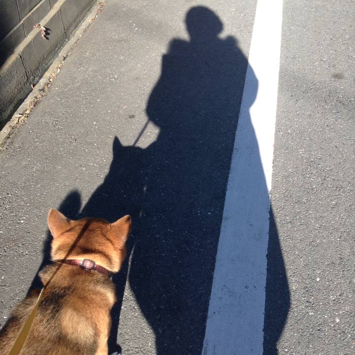 9f61fa86 d5bc 414d bda1 b697af8ce184 1512523043046