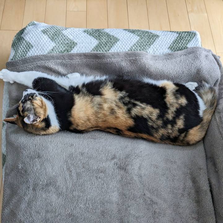 9f621067 ce54 4ea6 be42 1e314bf77db3 1686722749364