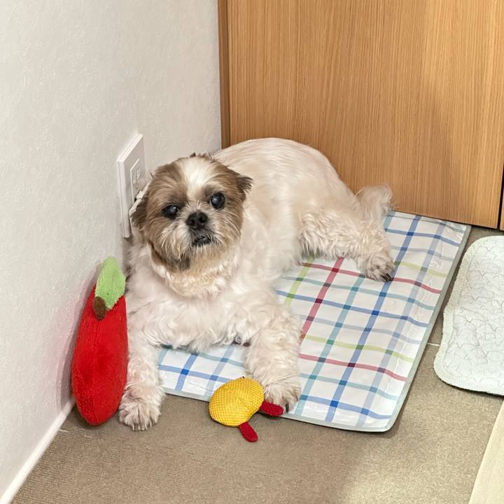 9f6219c6 1e50 48df 9c9a 0956e427c83d 1692440237526