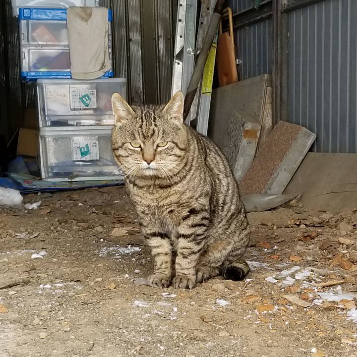 9f623506 0470 4c47 a29a a1e1279ebfd6 1612434167368