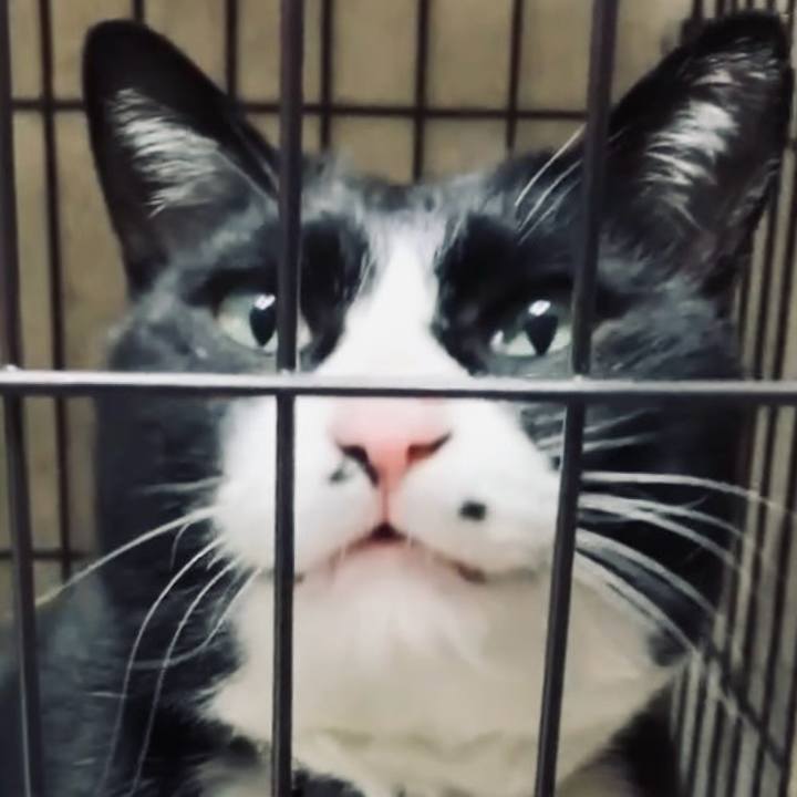 9f625e29 18aa 4c26 ba84 af603df45cb0 1743760517564