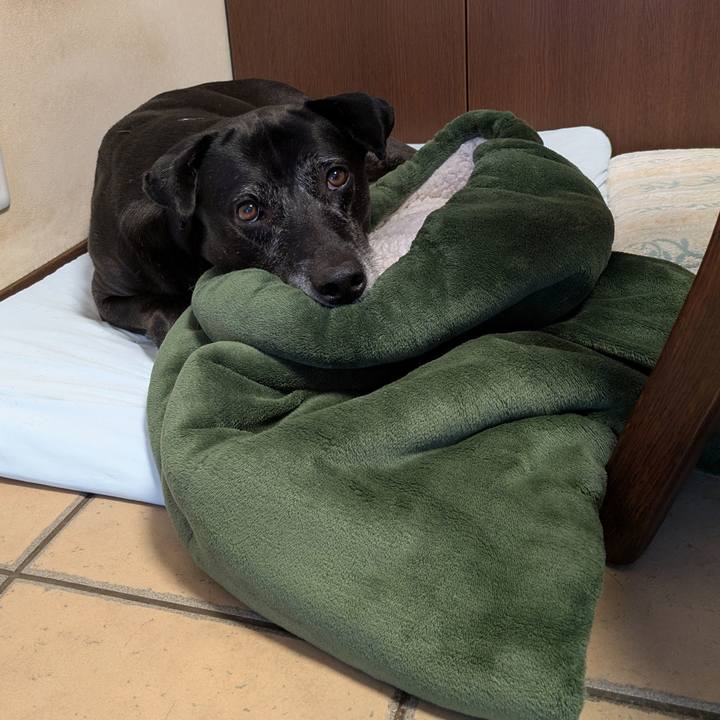 9f628247 c4a3 432d aecf 3ad4476850f2 1755379318924