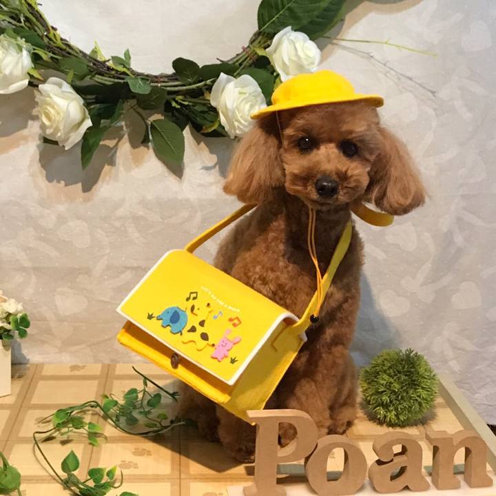 9f62a87a 1160 4964 a645 2243432223f1 1584543640478