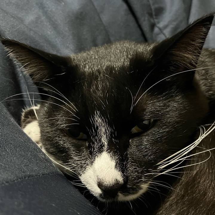 9f62ac50 cecb 4444 b516 b4f0b0bf78c4 1668234249379