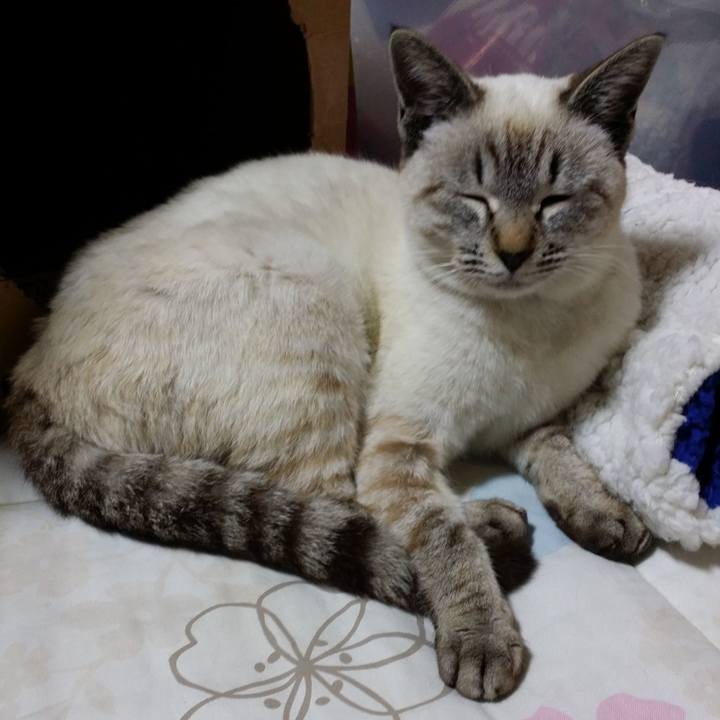 9f62b6a4 8322 407b 9262 728a3eac907e 1531054431610