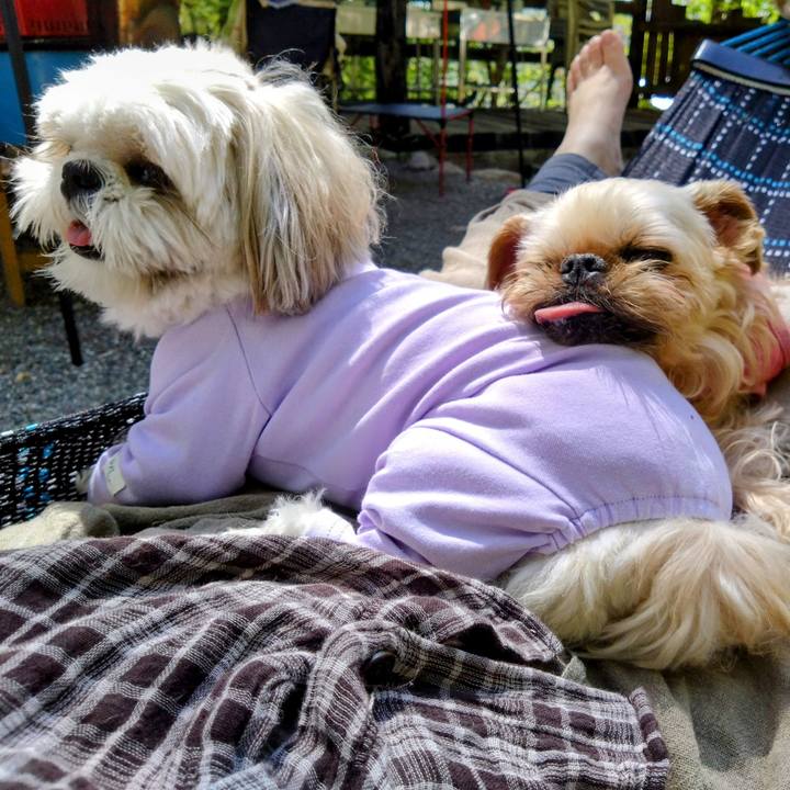 9f62c56f 3c08 470b bfbd 958ca9472319 1683466055577