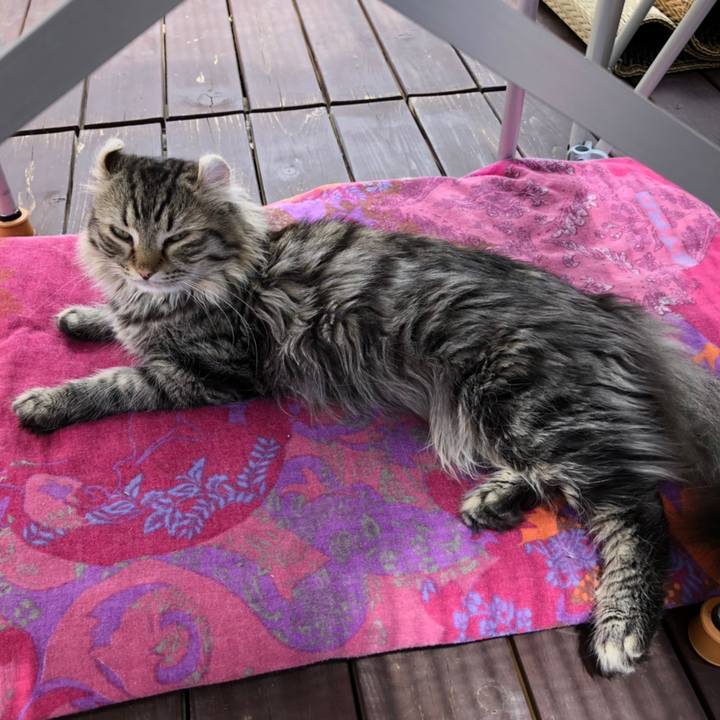 9f62ccf7 60f6 4385 a251 ce1a427c33cd 1558662238770