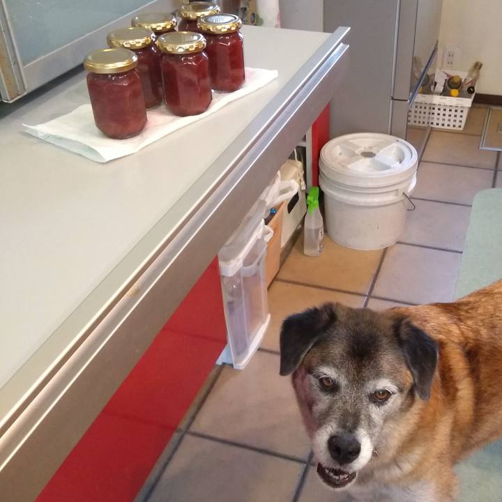 9f62d007 6fa7 4812 9d06 e97bce62632f 1566019312132