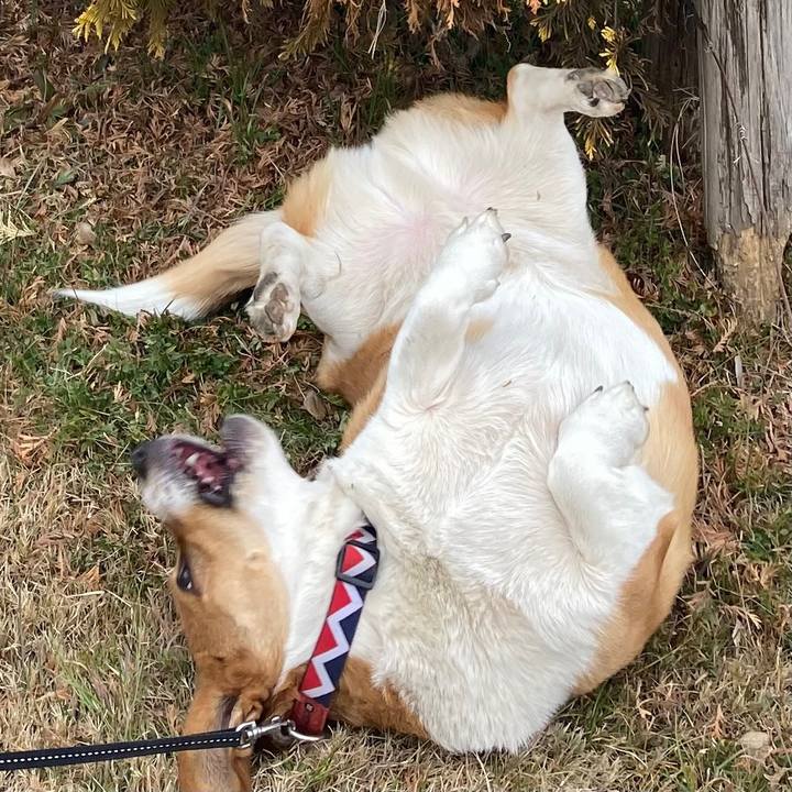 9f631bb6 db56 4366 82ae 97e1b5b0884c 1643678894353