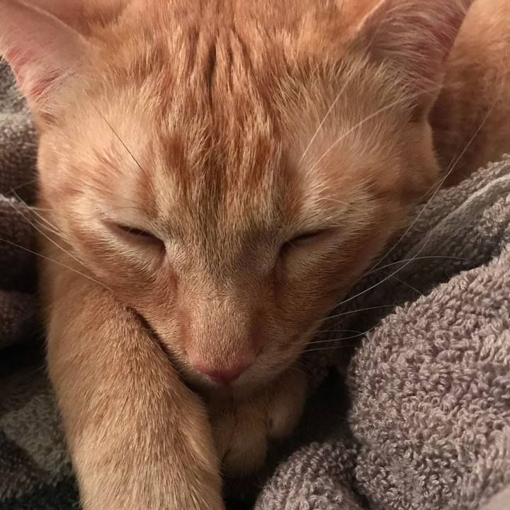 9f632686 bb29 48a8 bc2c a036eb7c90d3 1590760657363