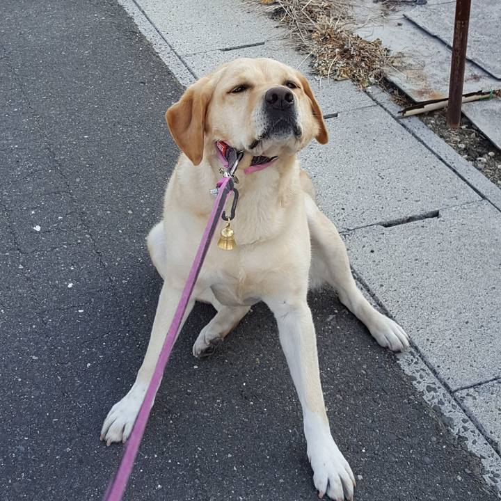 9f63677f ca27 465a b658 6cd18245dbef 1522802802800