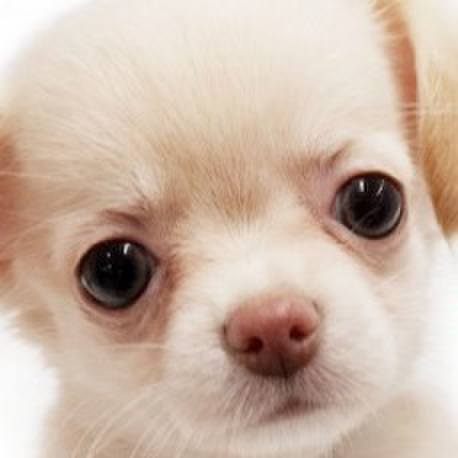 9f63d330 21b8 4ce2 83a6 d6cb528ed57e 1628683029439