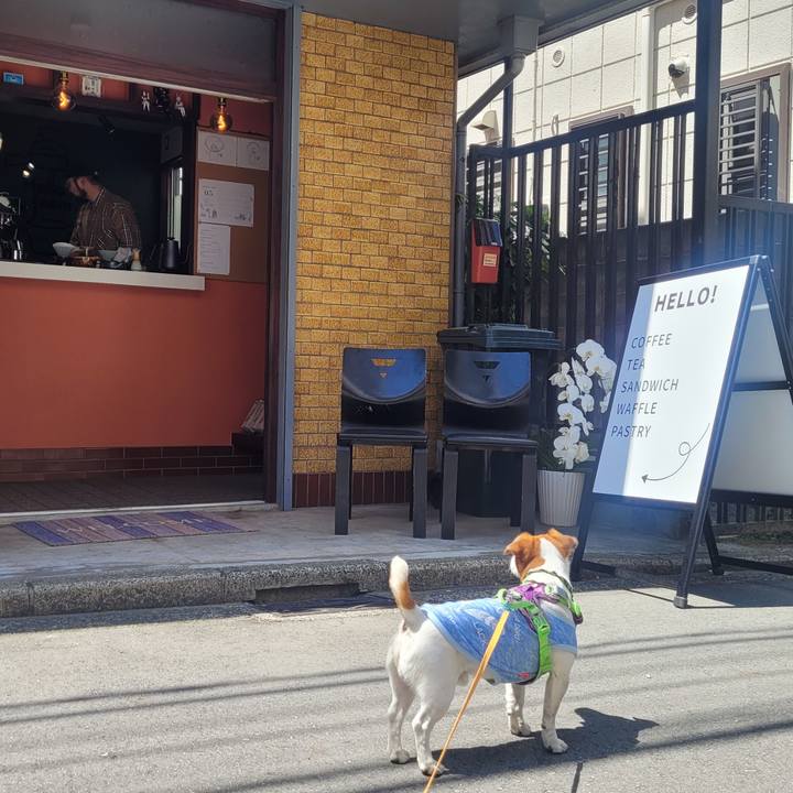 9f63f0bb fc86 4d7e 8079 ab30bbe1b597 1683009395309