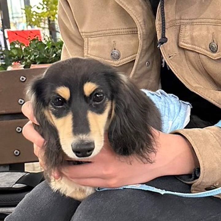 9f640ff0 d14c 42ad ab1a fa423e3c9a52 1675043336666