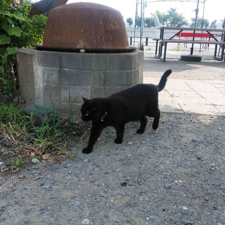 9f64299a dcb5 49f9 b7fc b4af167c9cc1 1596759730427